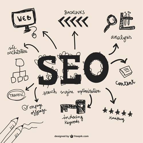 SEO Service Provider