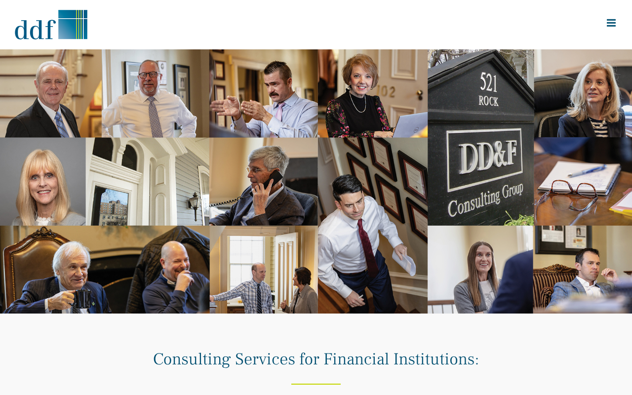 DDF Consulting website, designed by EagleEdge Marketing